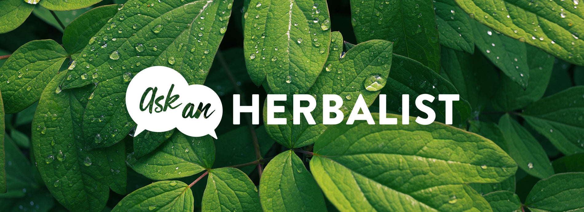 herbal 