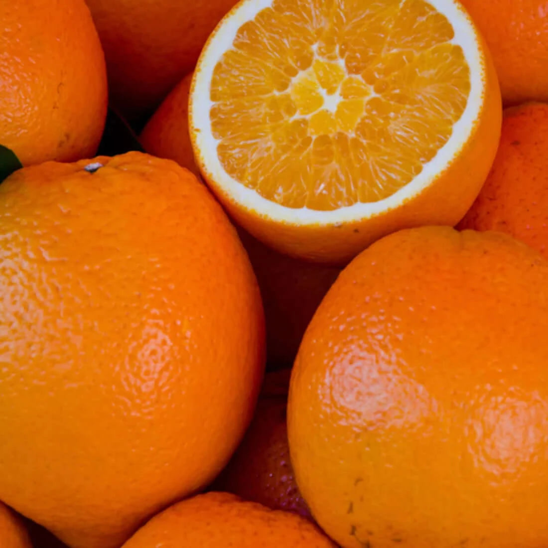 Mind Soother™: Orange