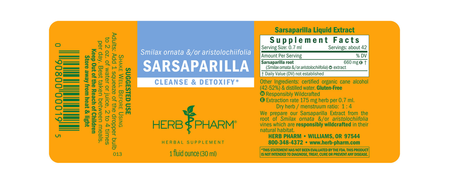 Sarsaparilla