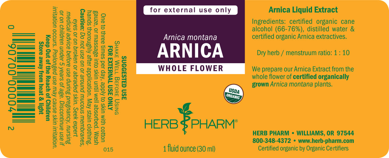 Arnica