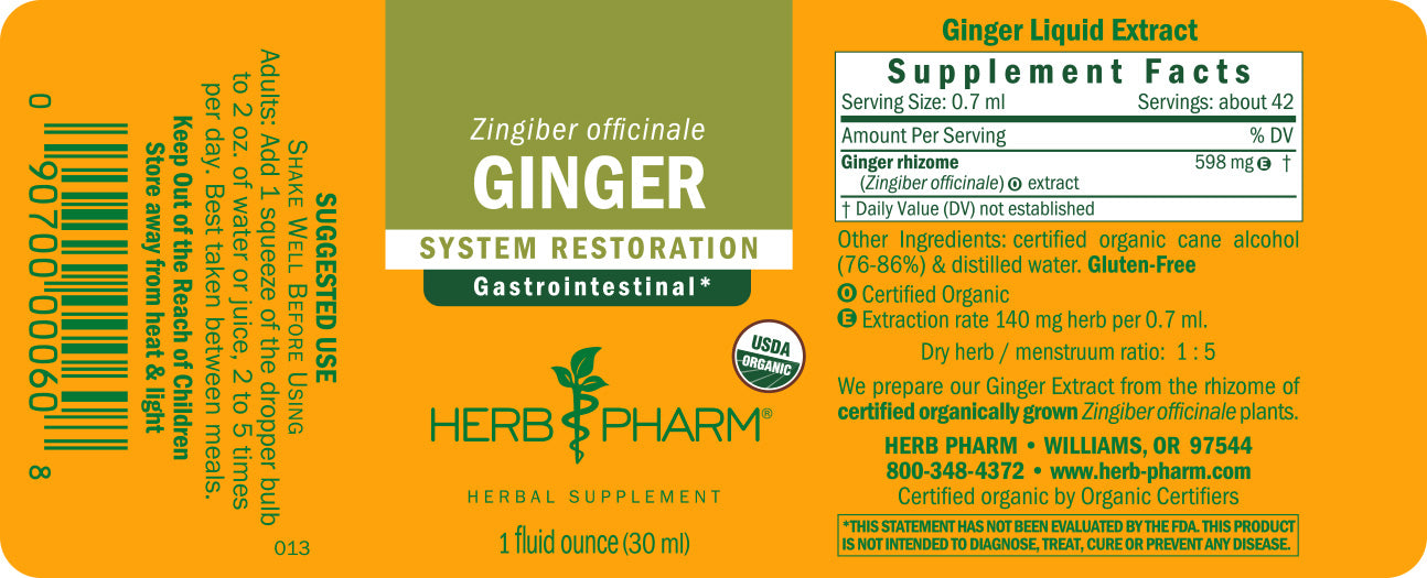 Ginger