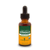 Astragalus