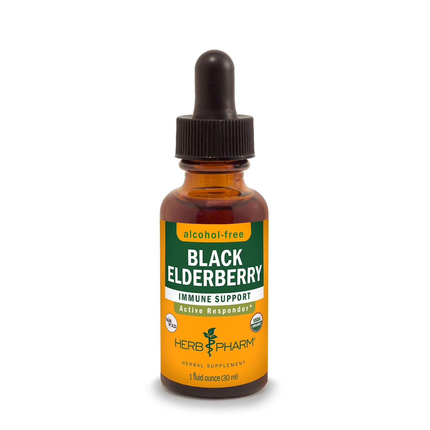 Web_BlackElderberryGlycerite_0