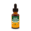 Black Elderberry