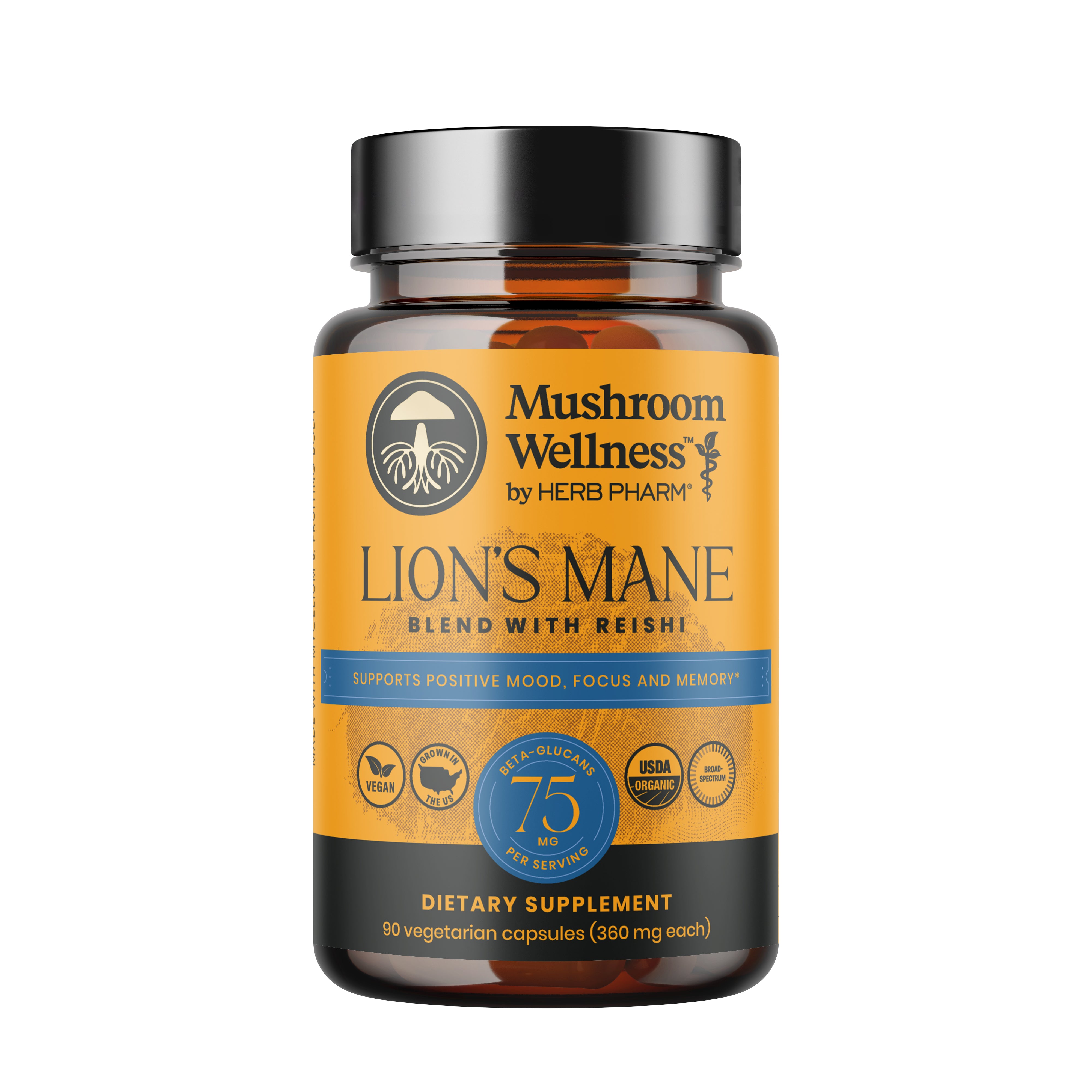 Lions Mane Blend