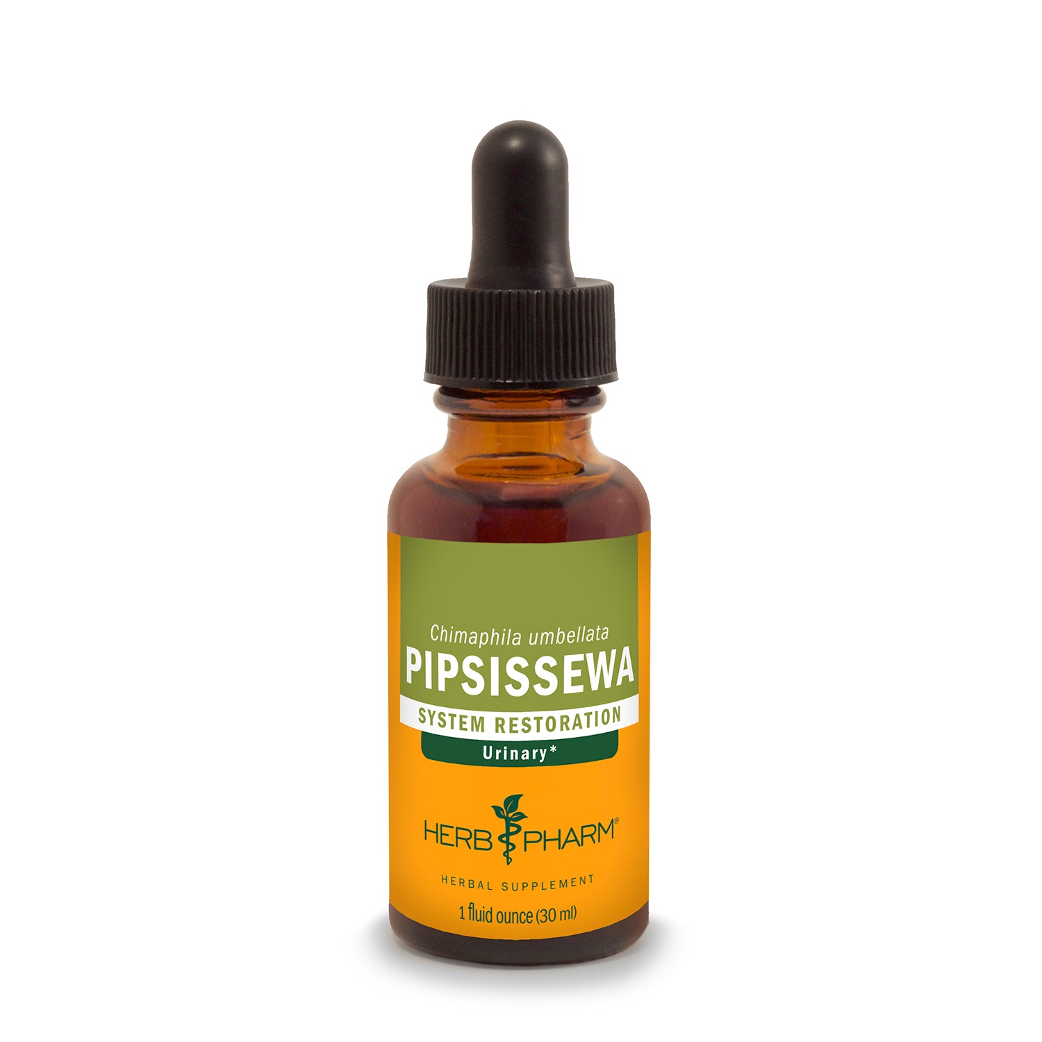 Pipsissewa Liquid Herbal Extract | Herb Pharm