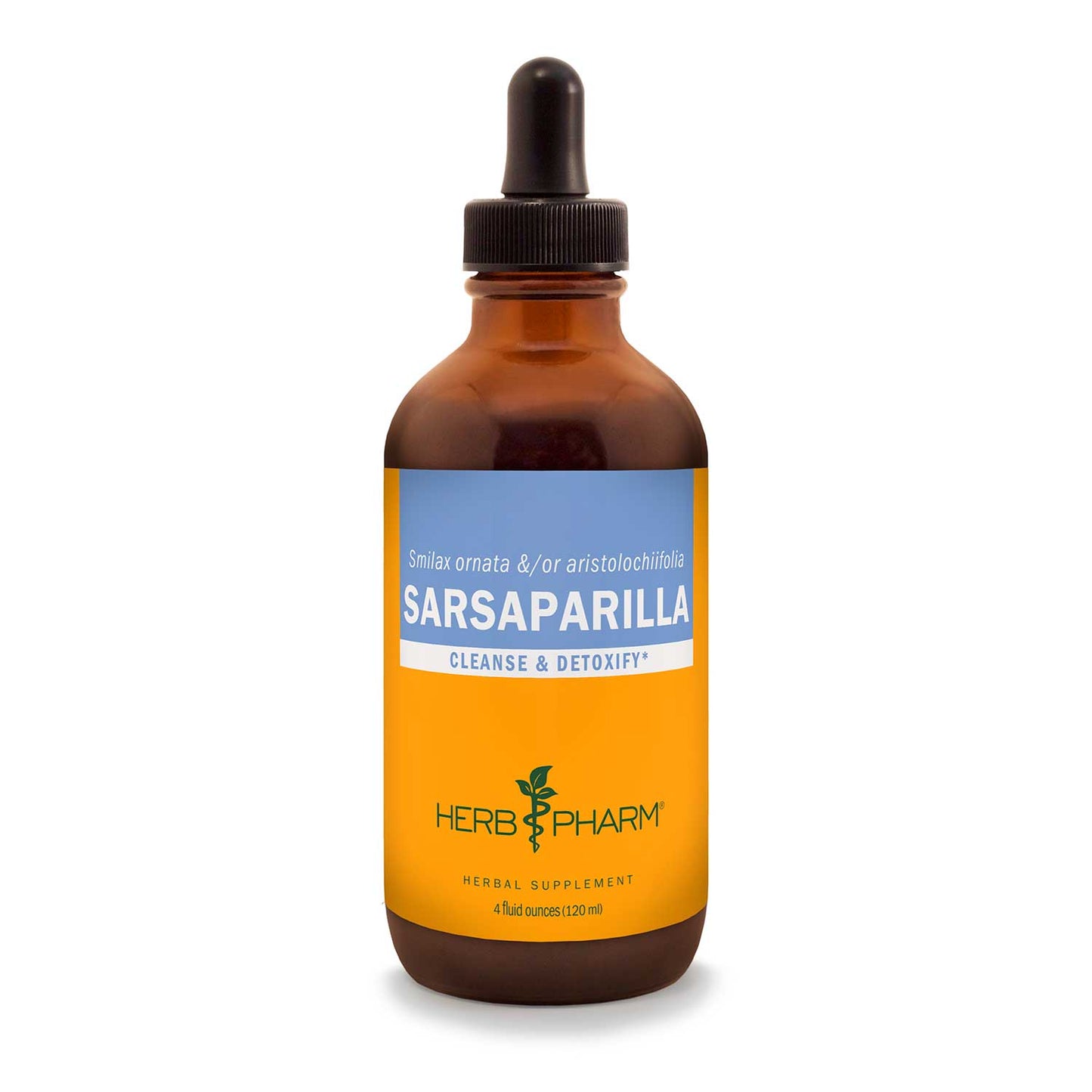 Sarsaparilla