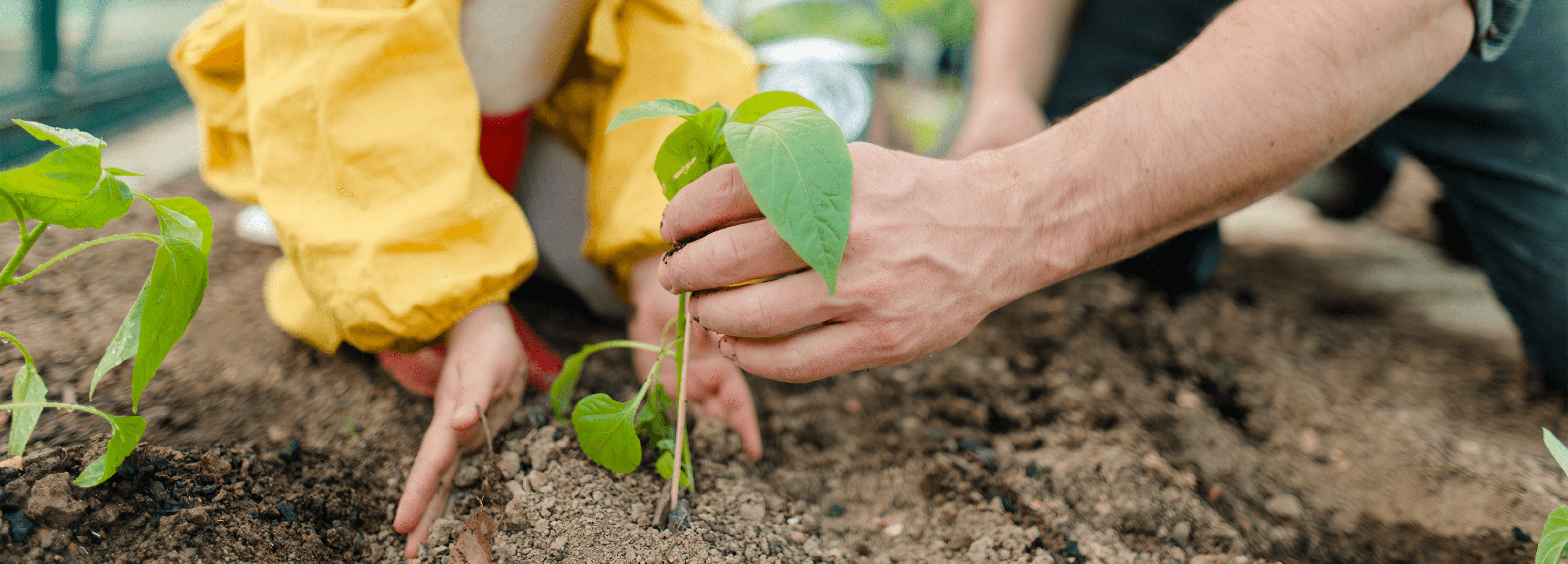 5 Ways to Teach Kids to Respect Nature