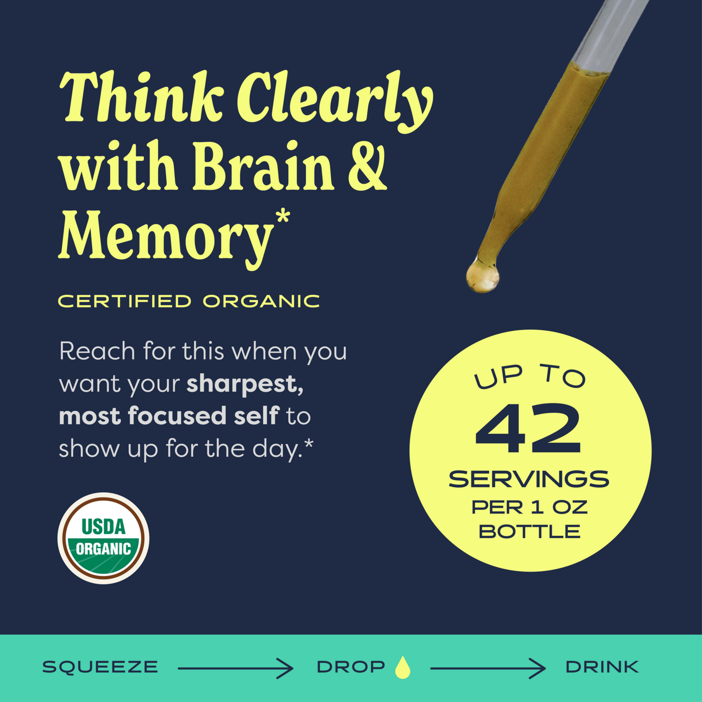 Brain & Memory™