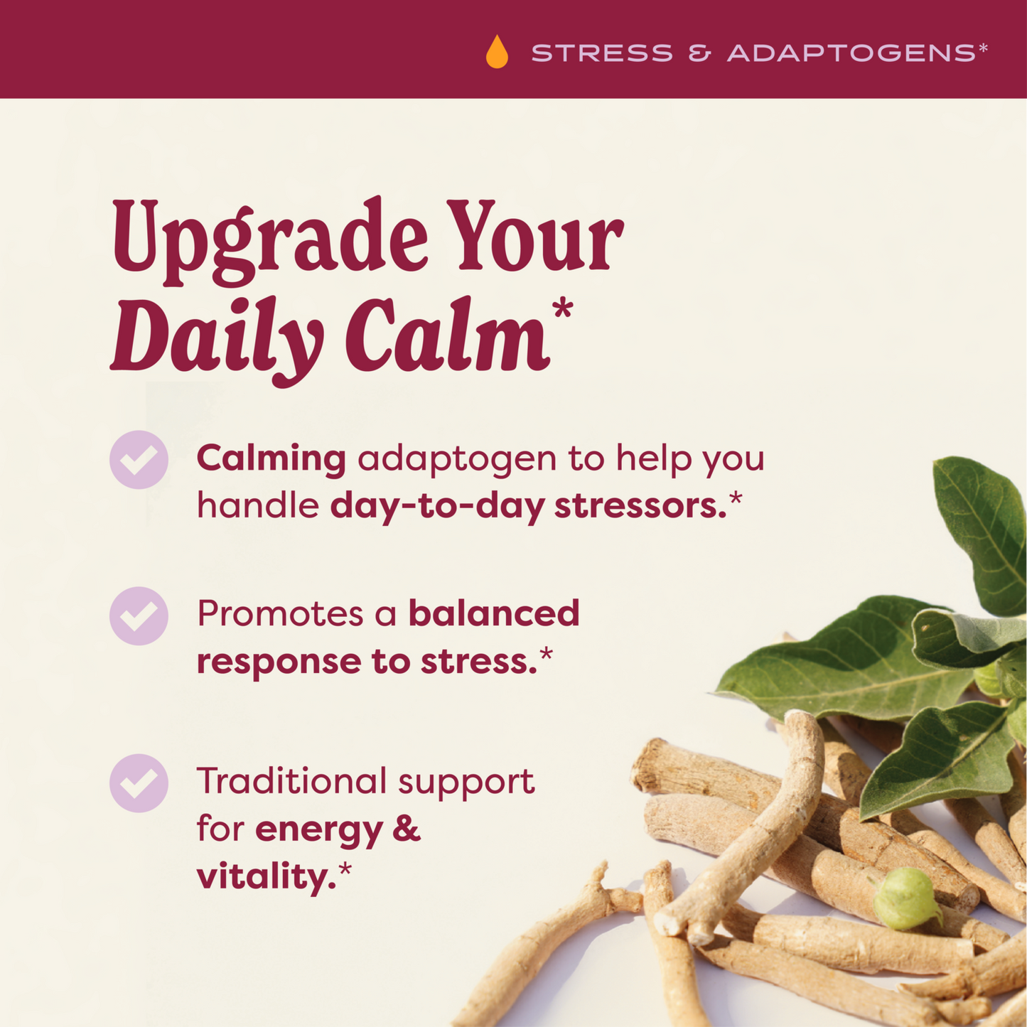 Ashwagandha, Alcohol-Free