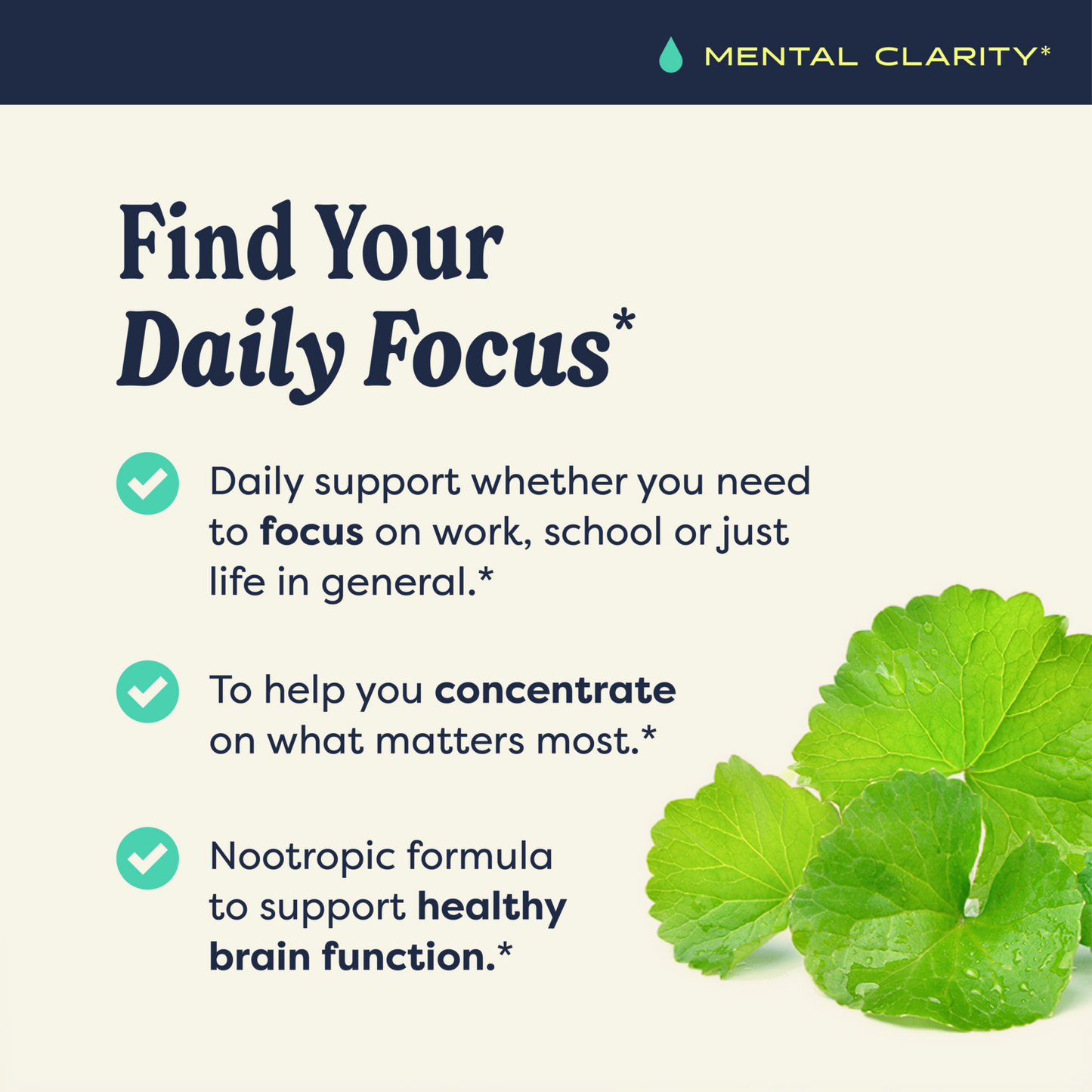 Brain & Memory™