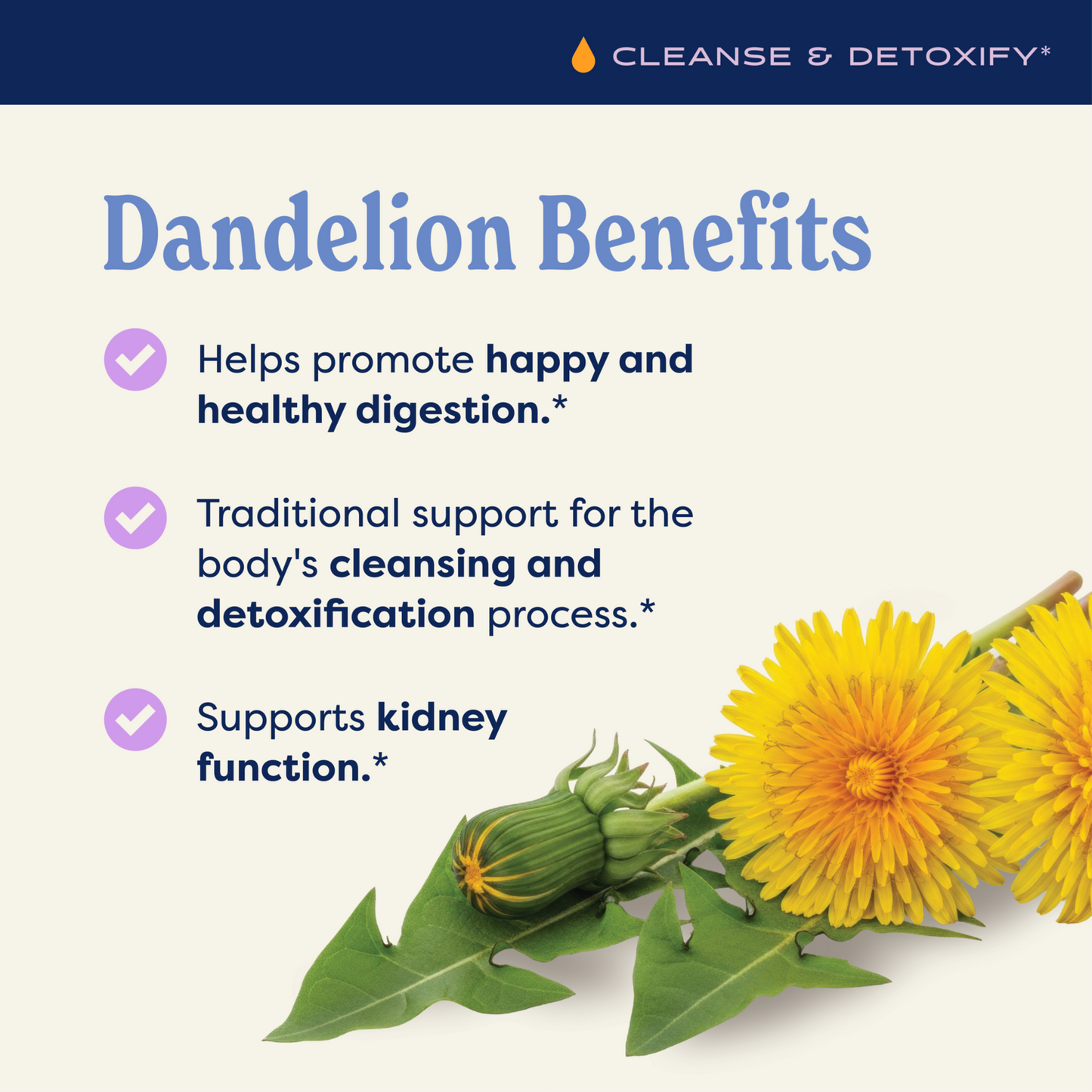 Dandelion