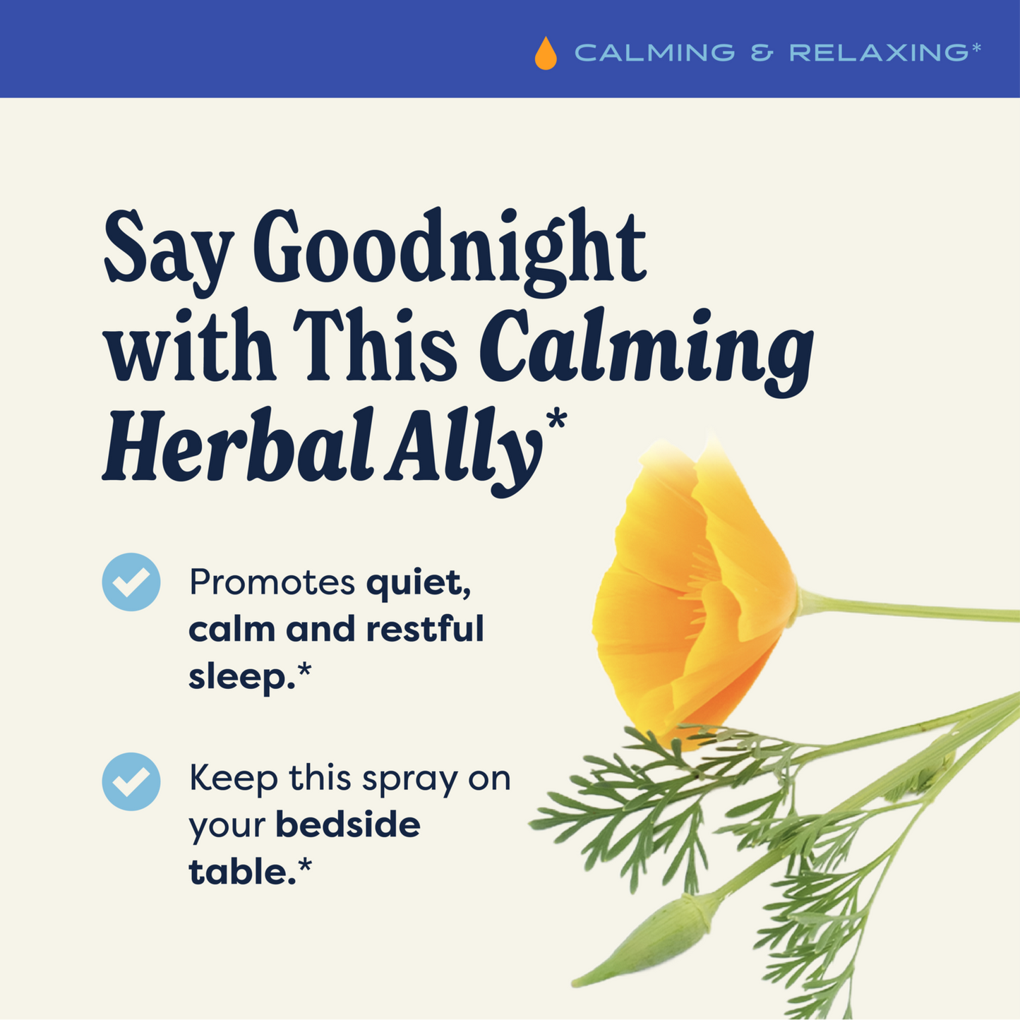 Herbs on the Go: Bed Time™