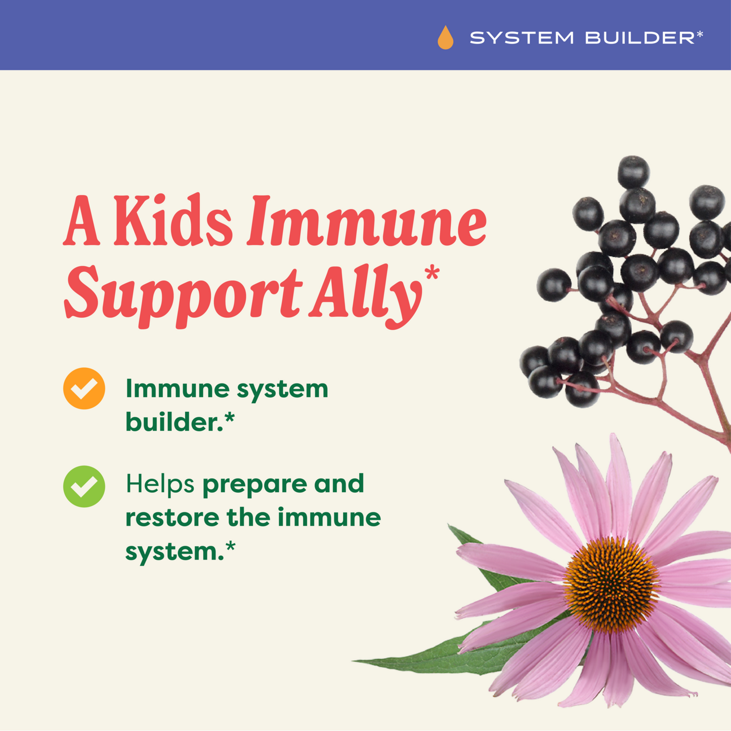 Kids Immune Fortifier™