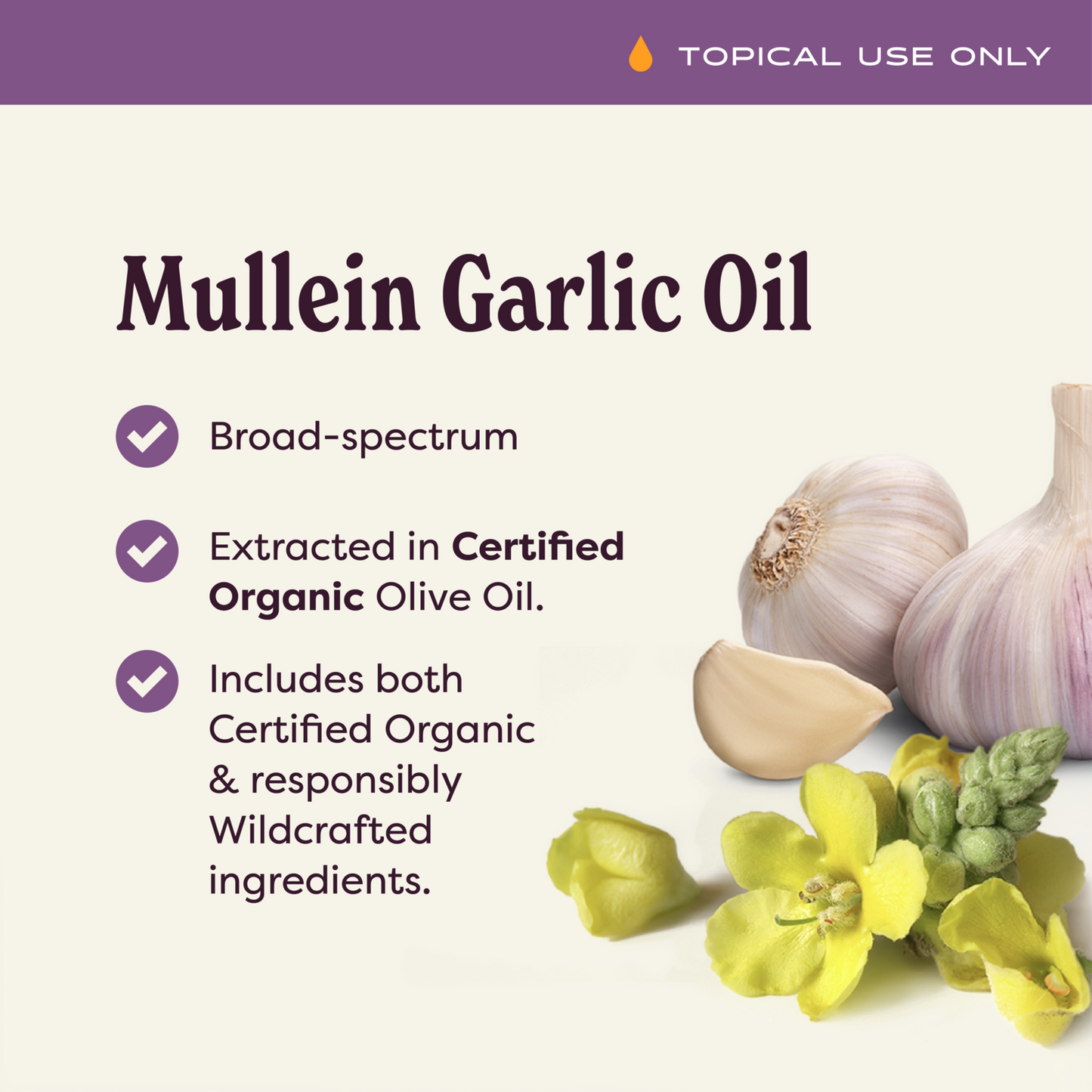 Mullein Garlic Oil