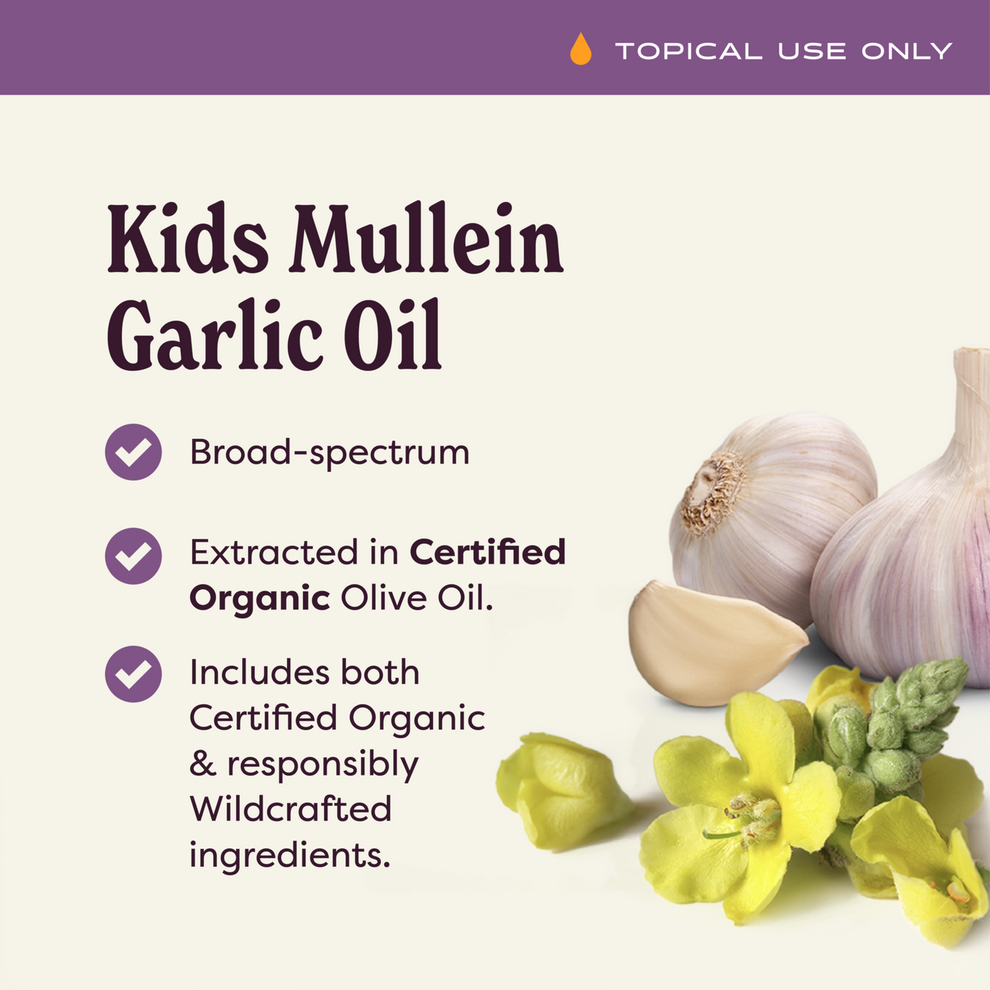 Kids Mullein Garlic Oil