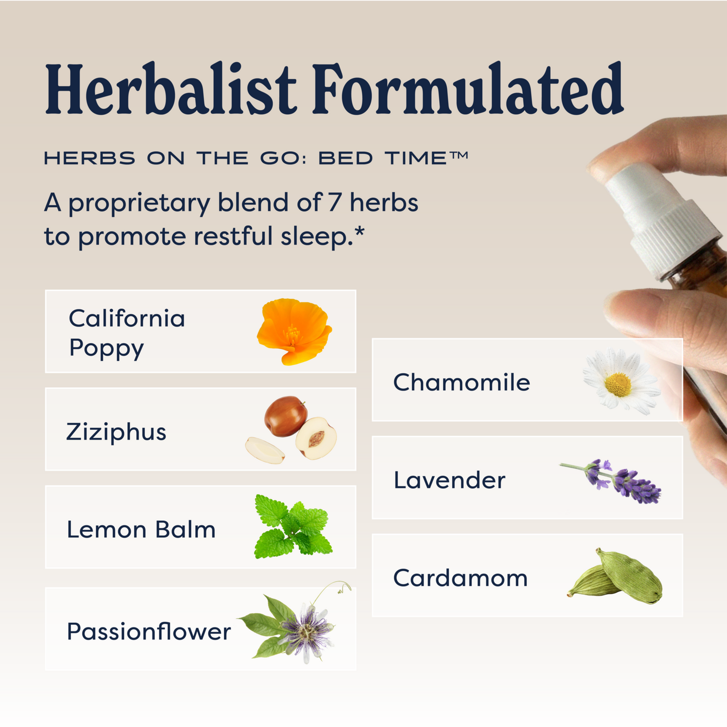 Herbs on the Go: Bed Time™