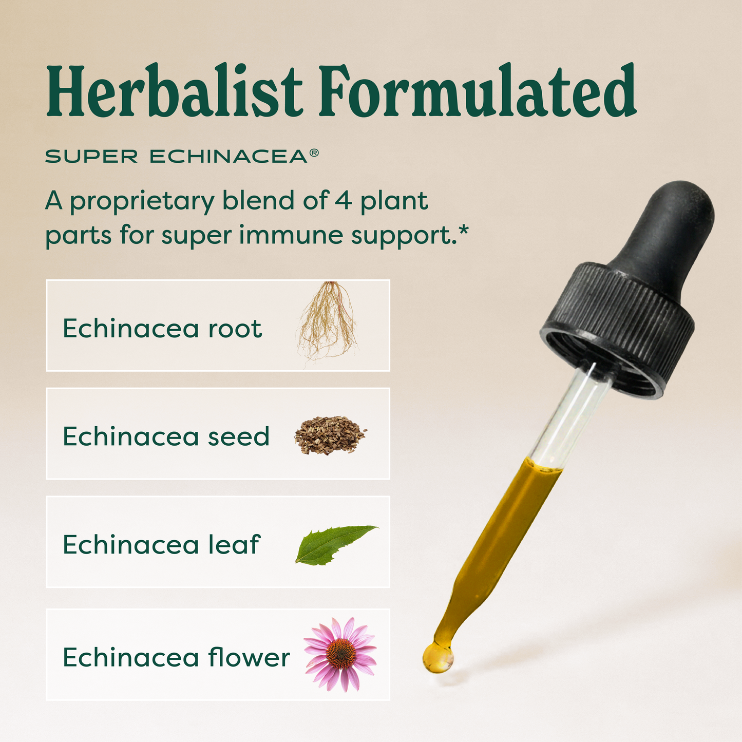 Super Echinacea®