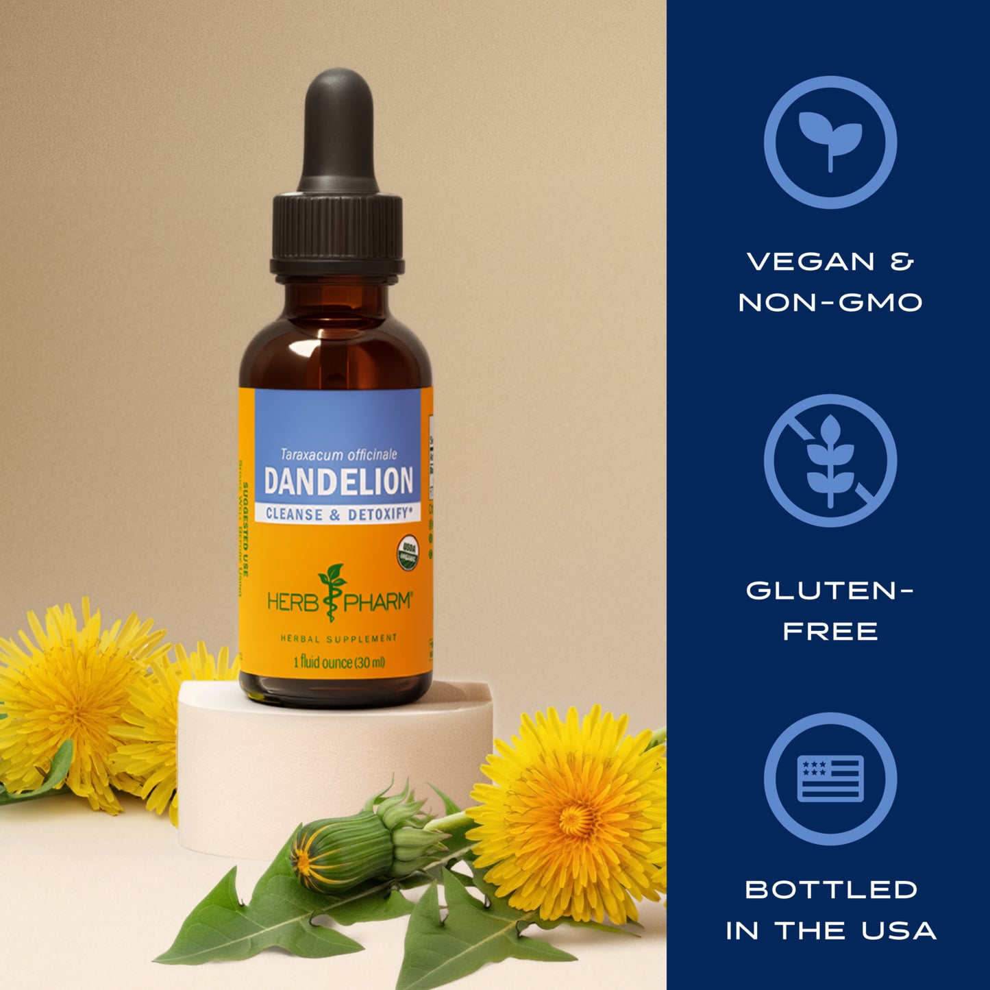 Dandelion