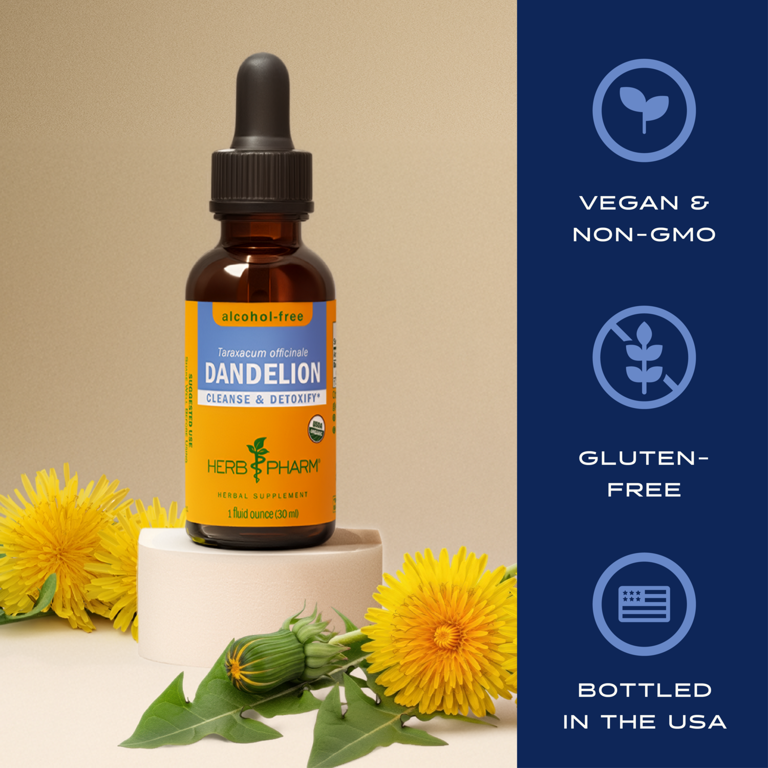 リバイタライジング・ピール・アンフォテリック30 30mL Dandelion, Alcohol-Free Liquid Herbal Extract | Herb Pharm