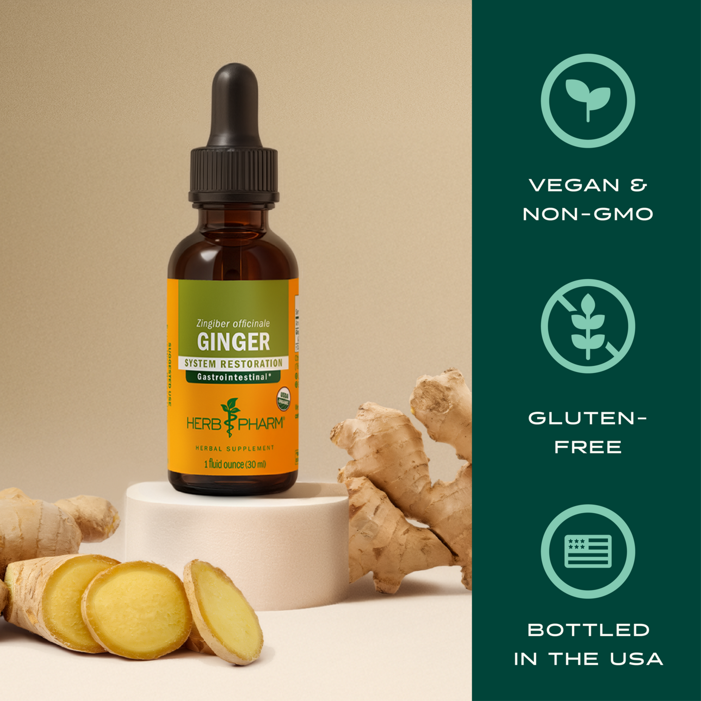 Ginger
