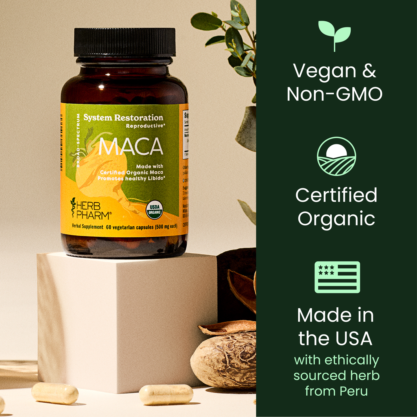 Maca
