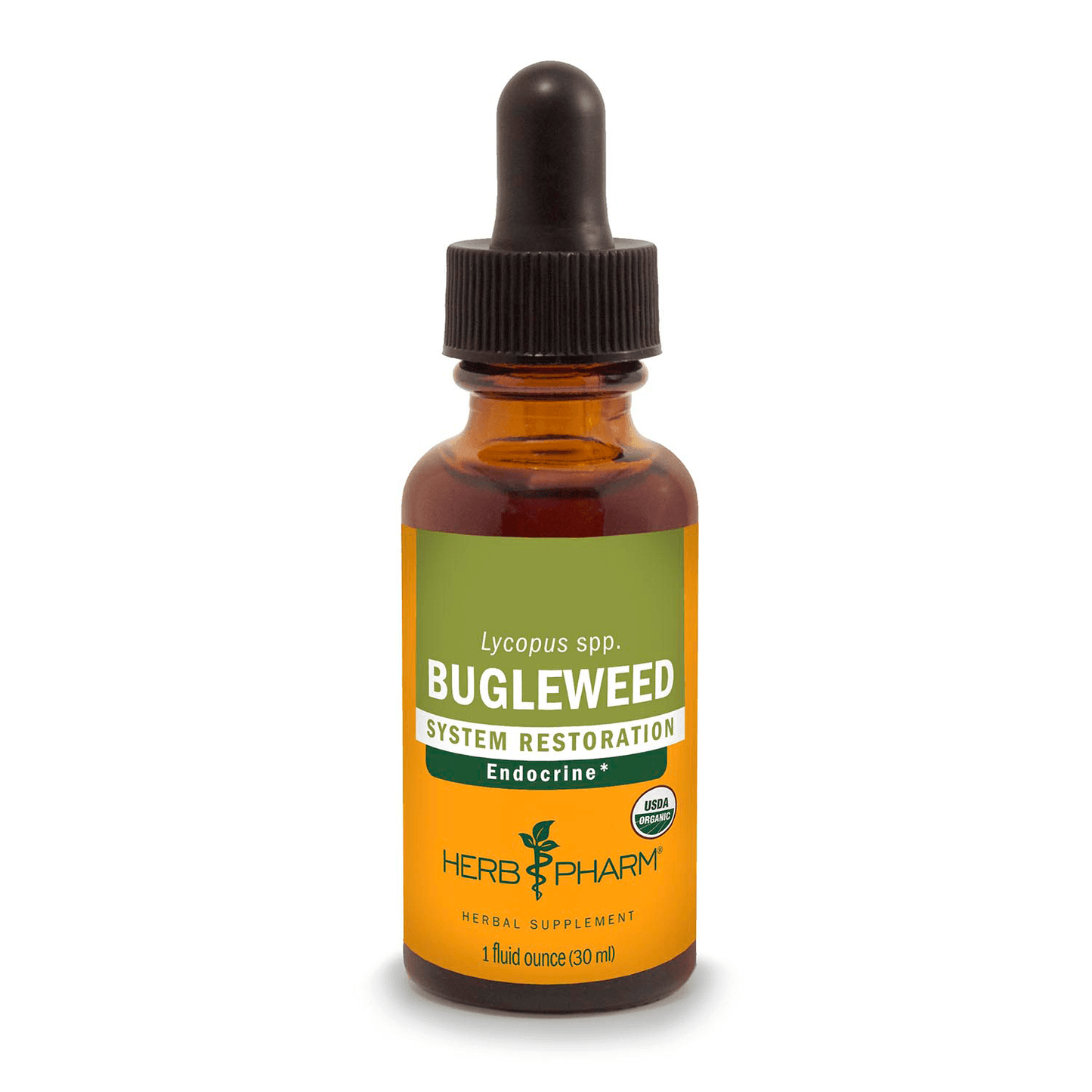 Bugleweed