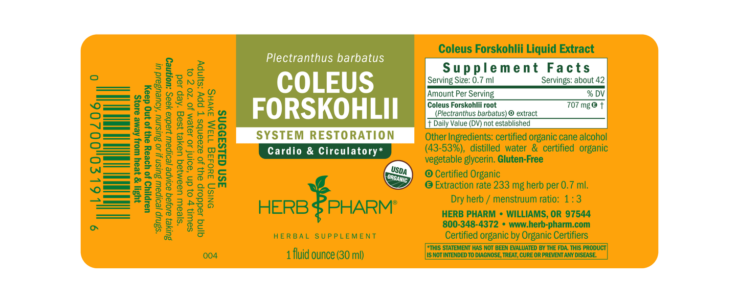 Coleus Forskohlii