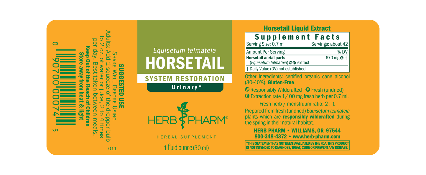 Horsetail