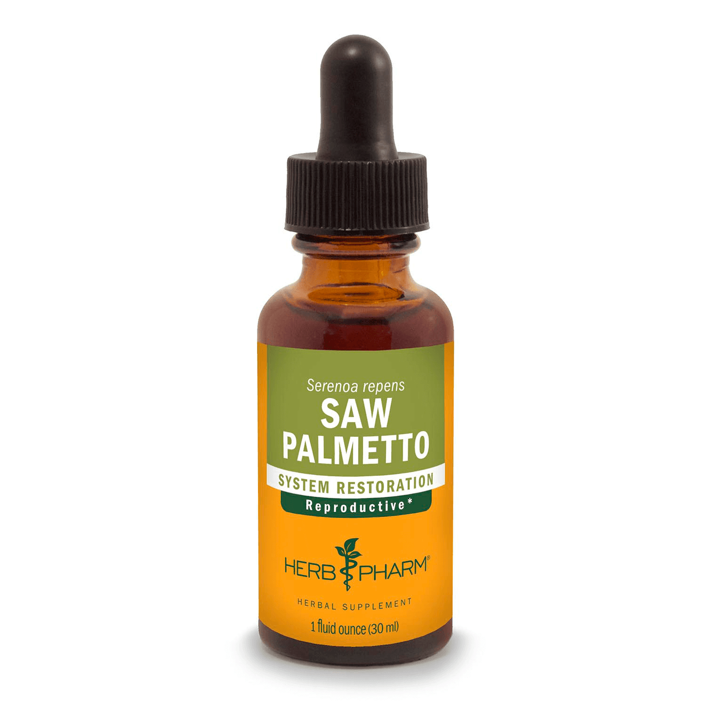 Saw Palmetto