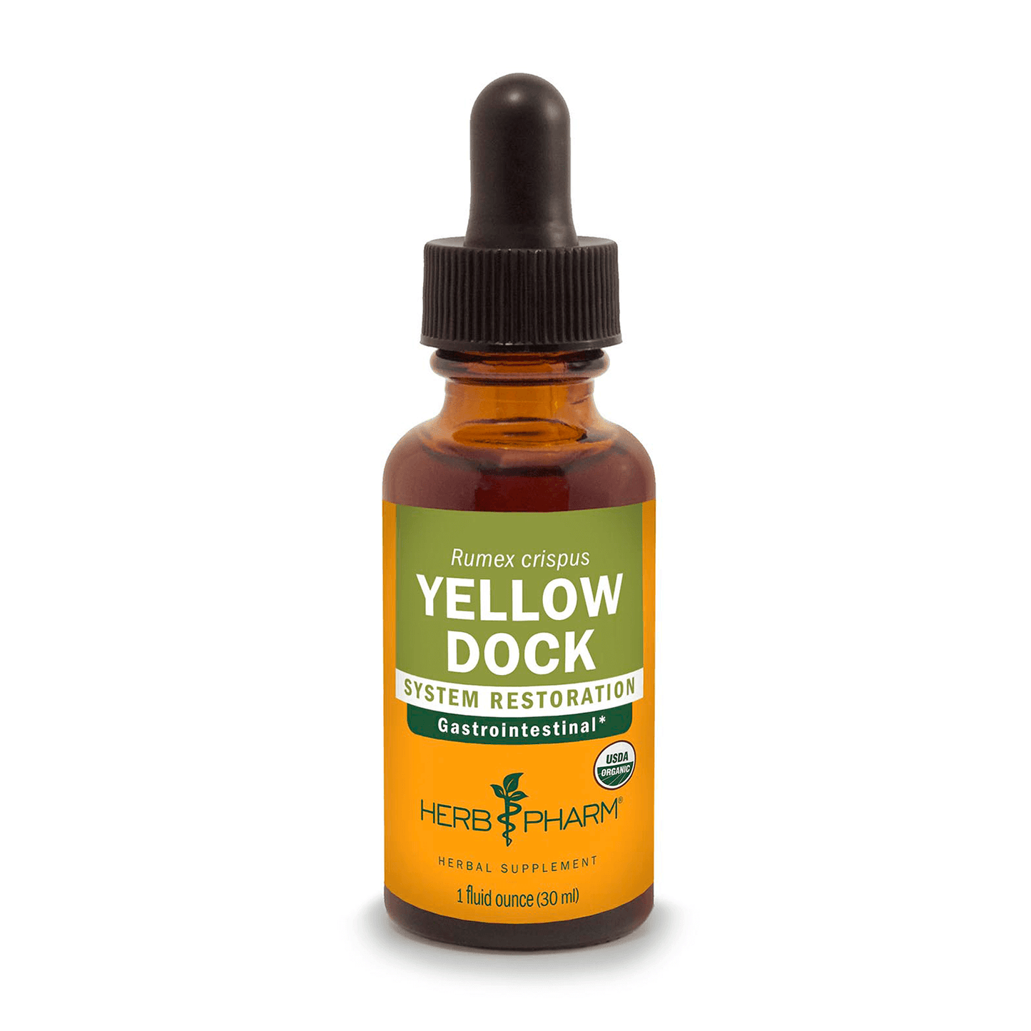 Yellow Dock