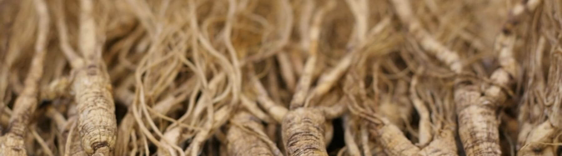 Asian Ginseng, Alcohol-Free