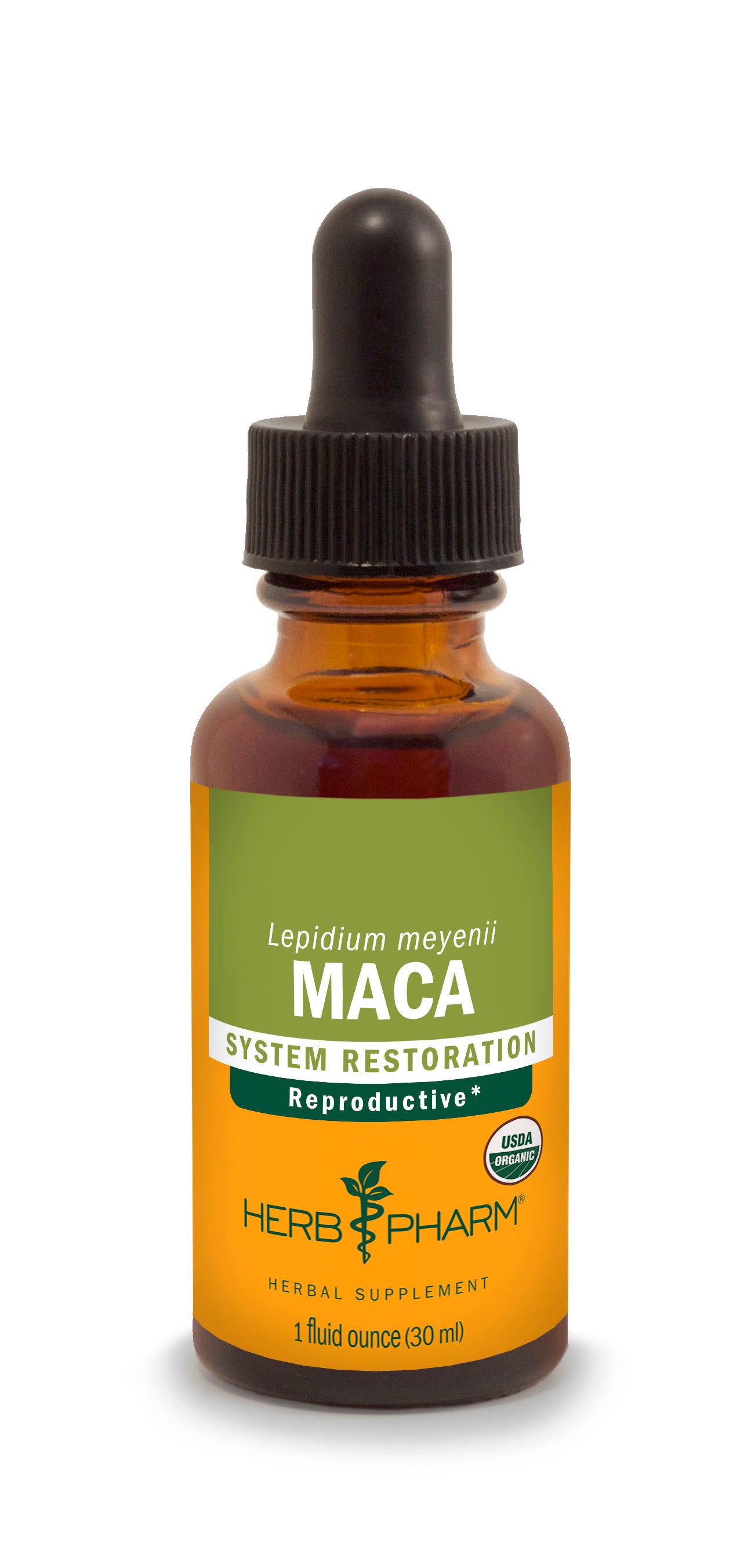 Maca