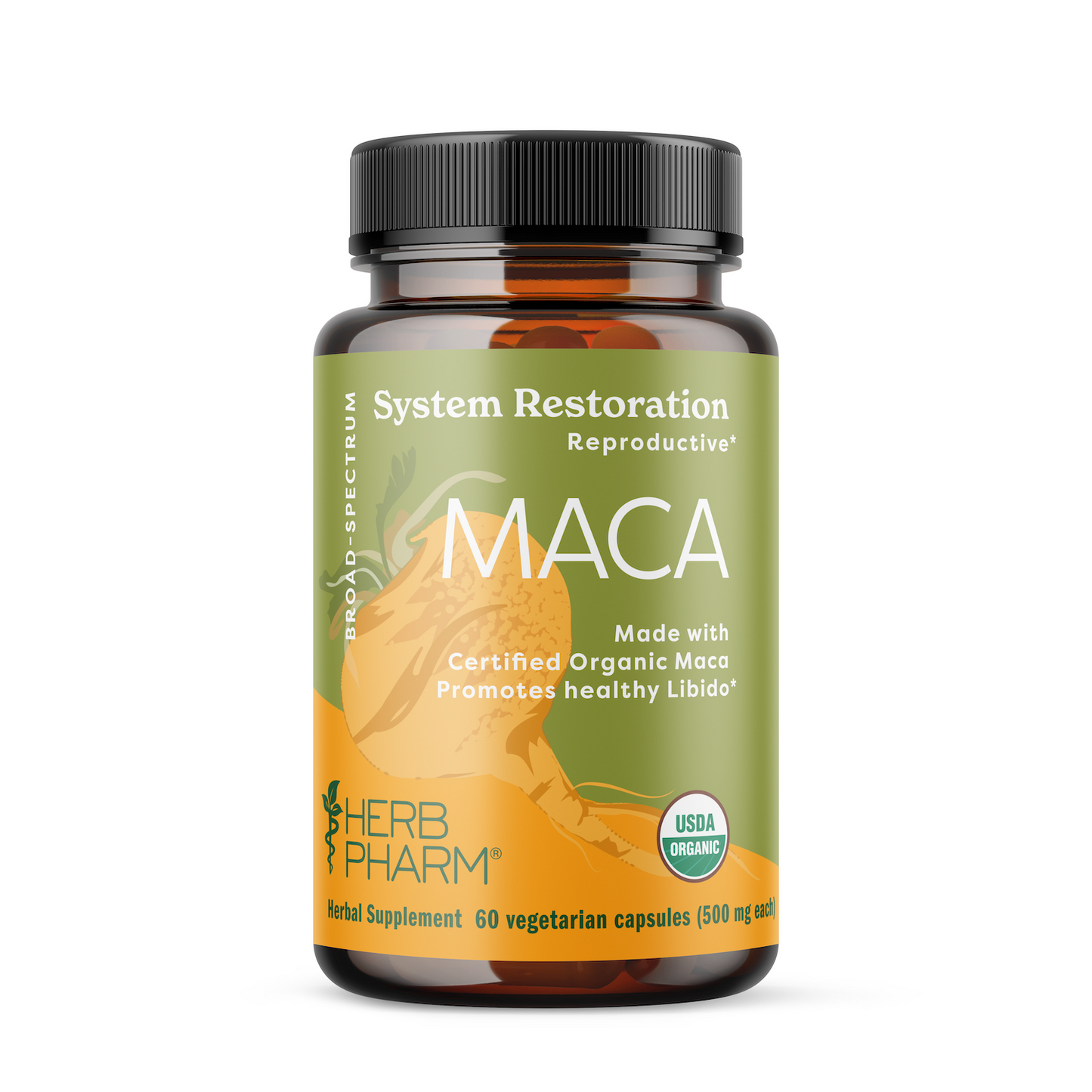 Maca