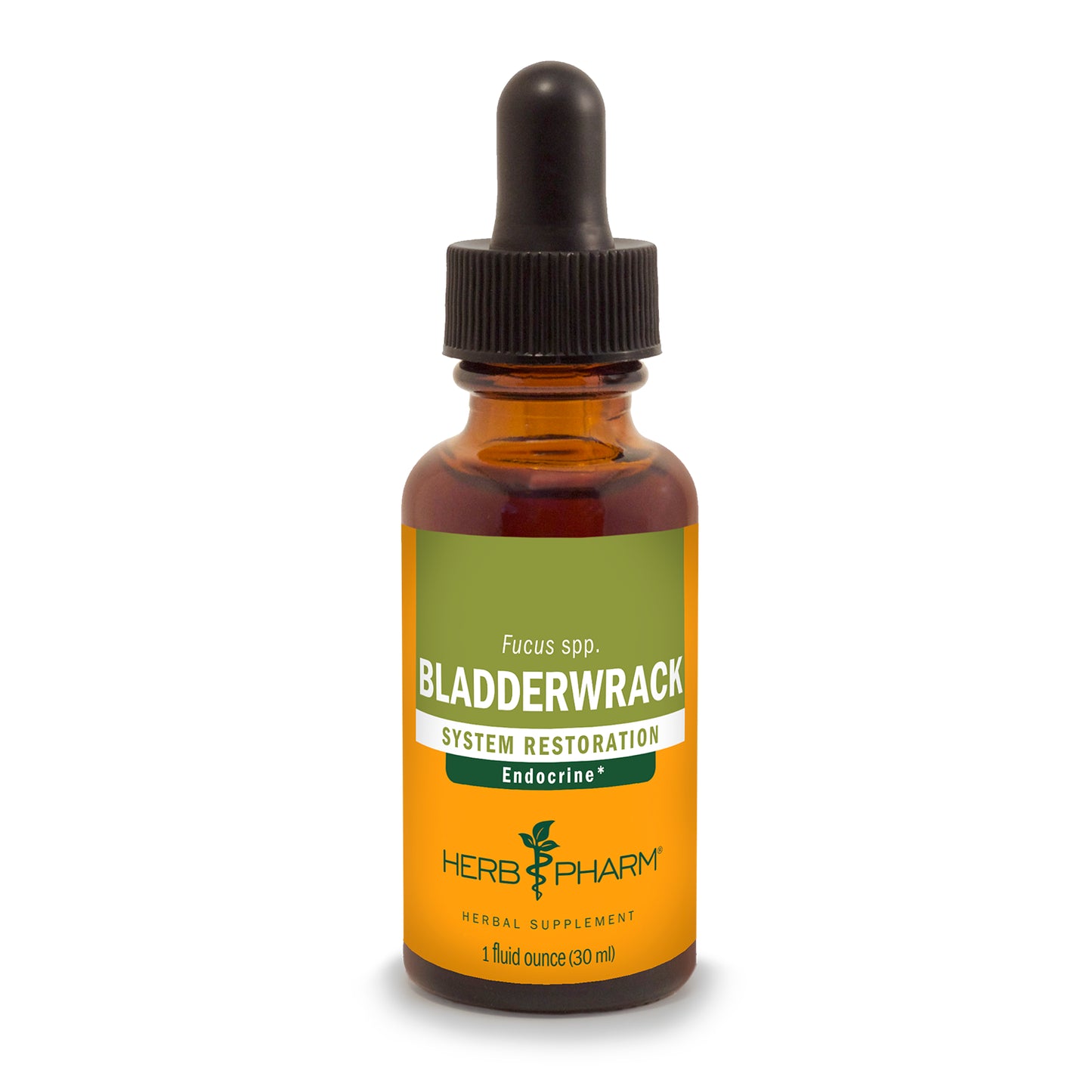 Bladderwrack