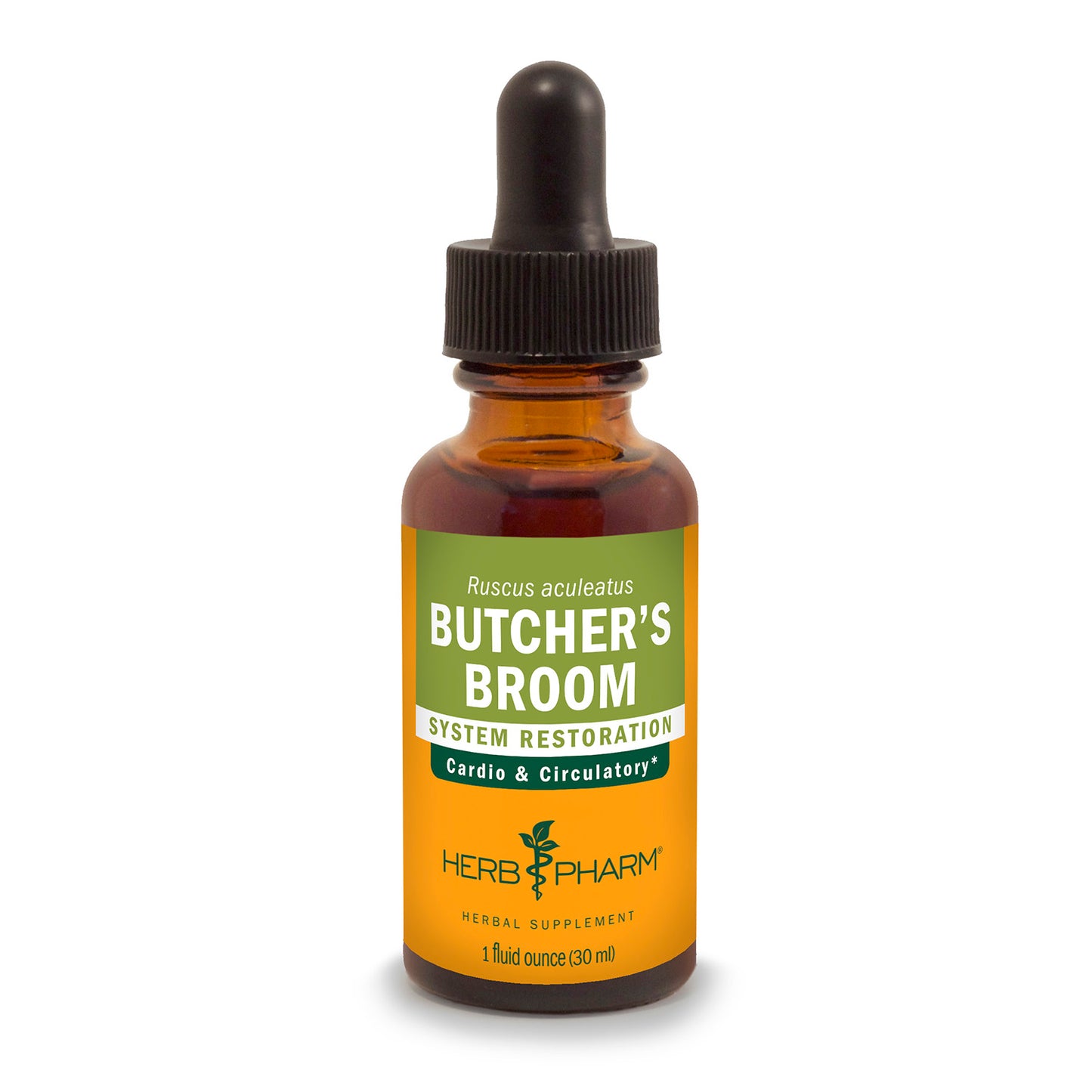 Butcher's Broom