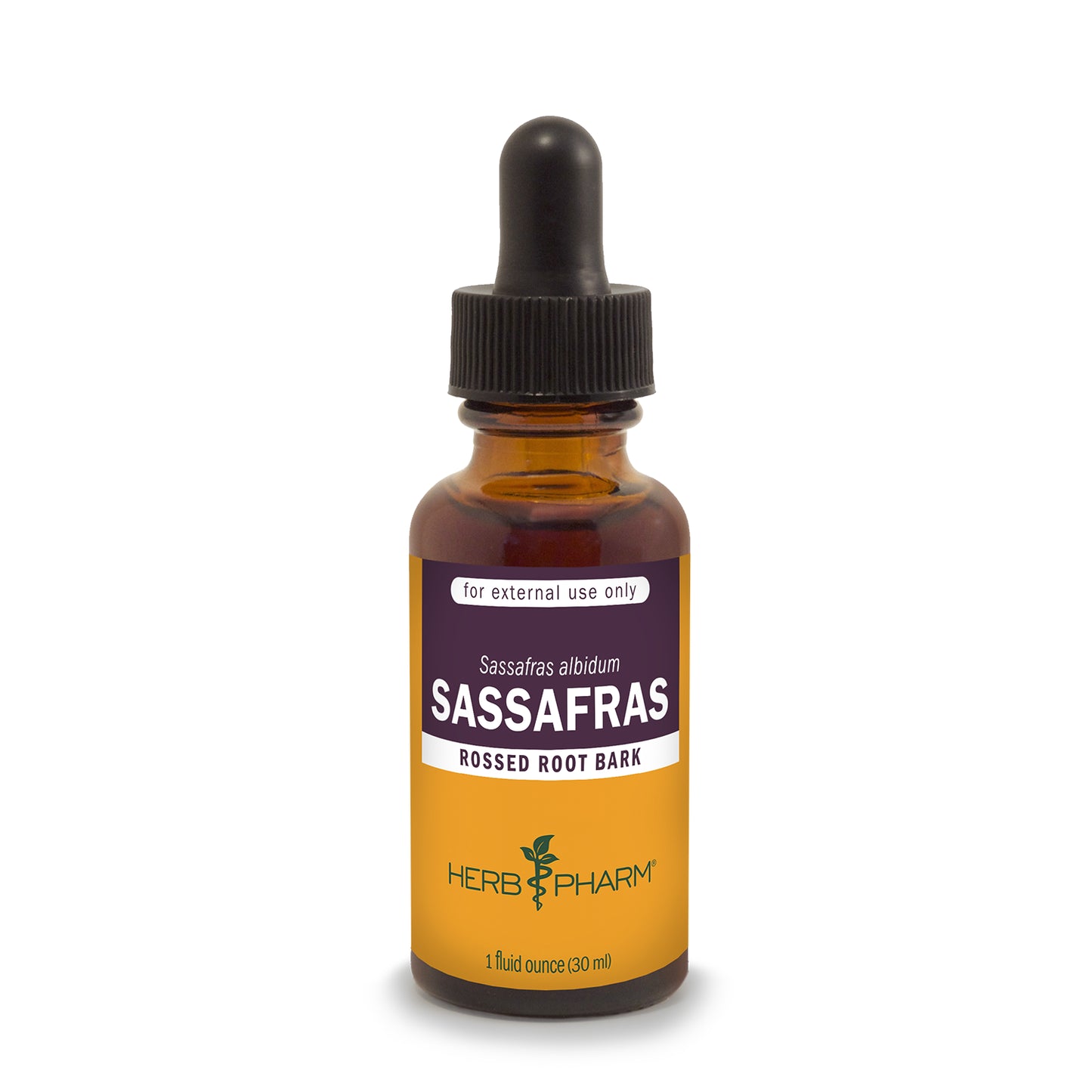 Sassafras Tea Concentrate – Bird-in-Hand Bake Shop - Foto 11