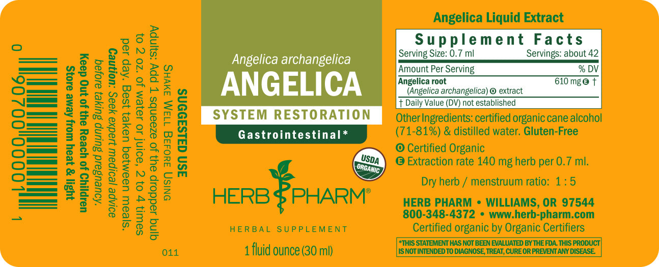 Angelica