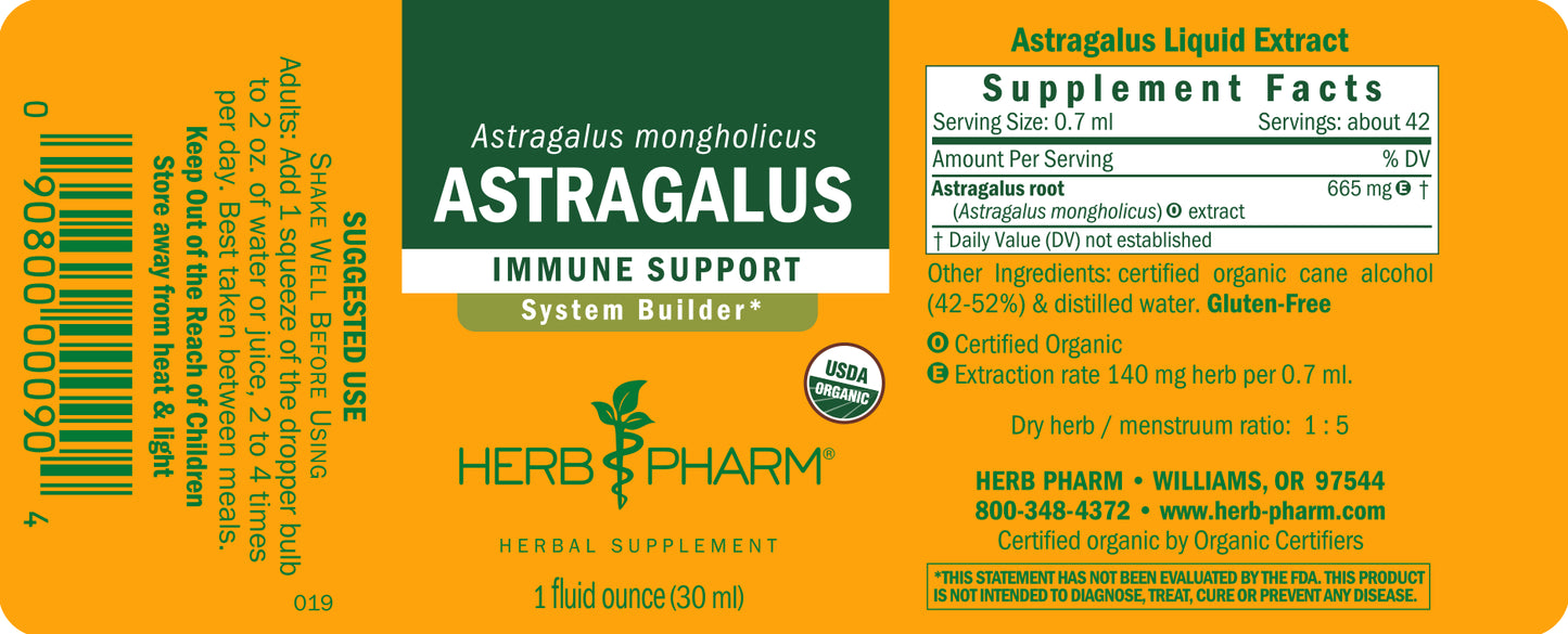 Astragalus
