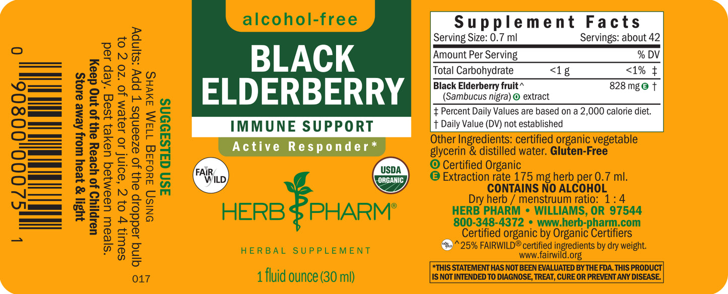 Black Elderberry