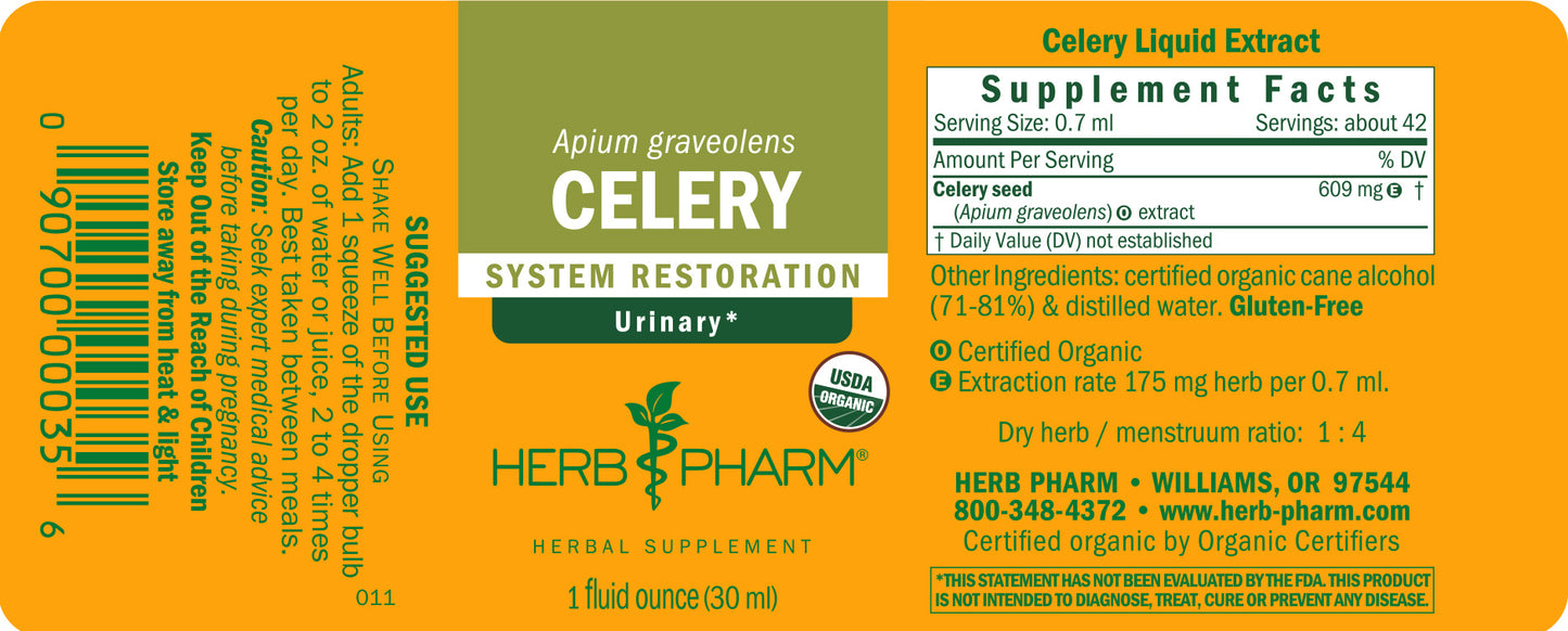 Celery