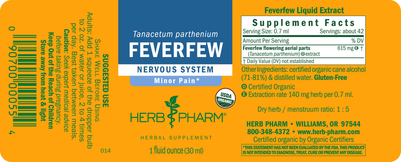 Feverfew