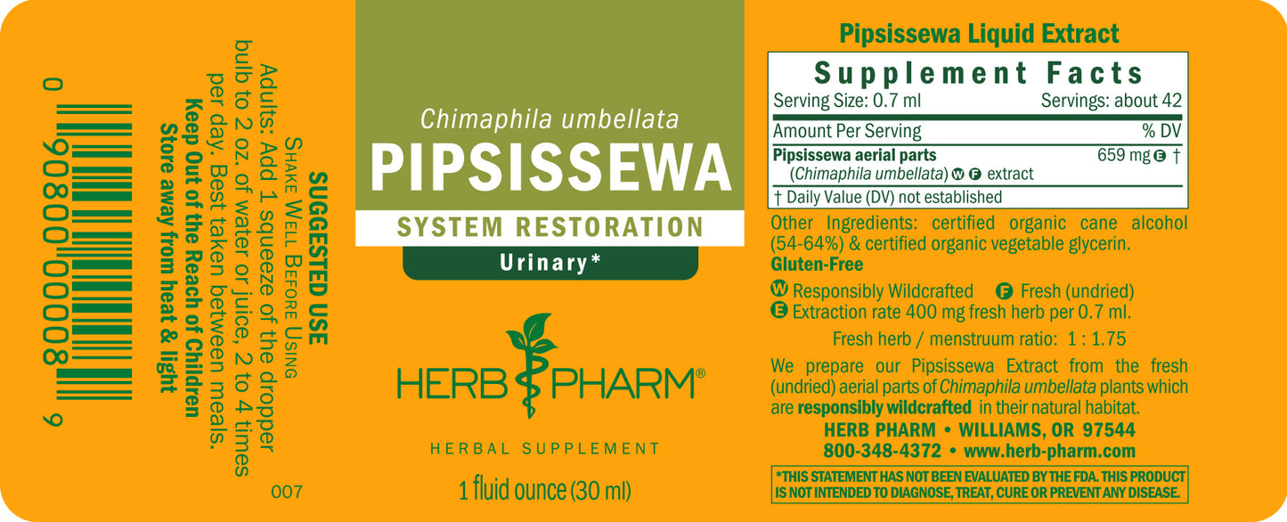 Pipsissewa