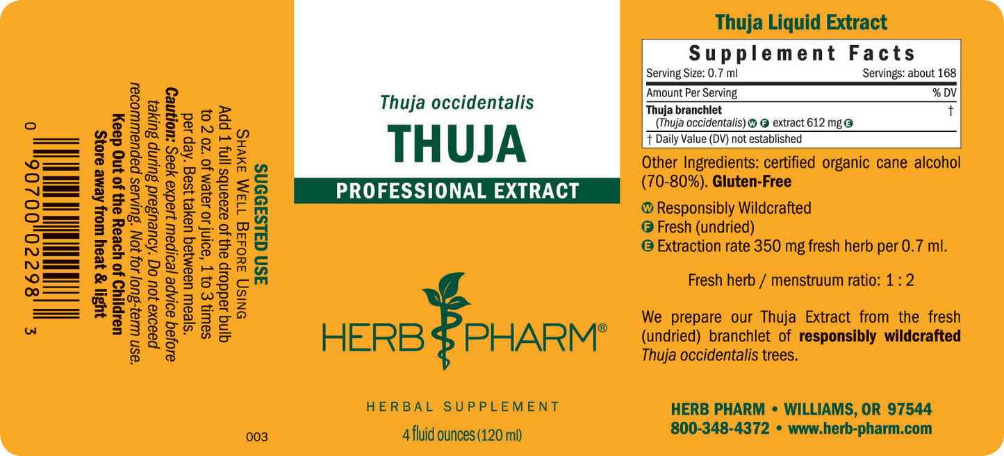 Thuja