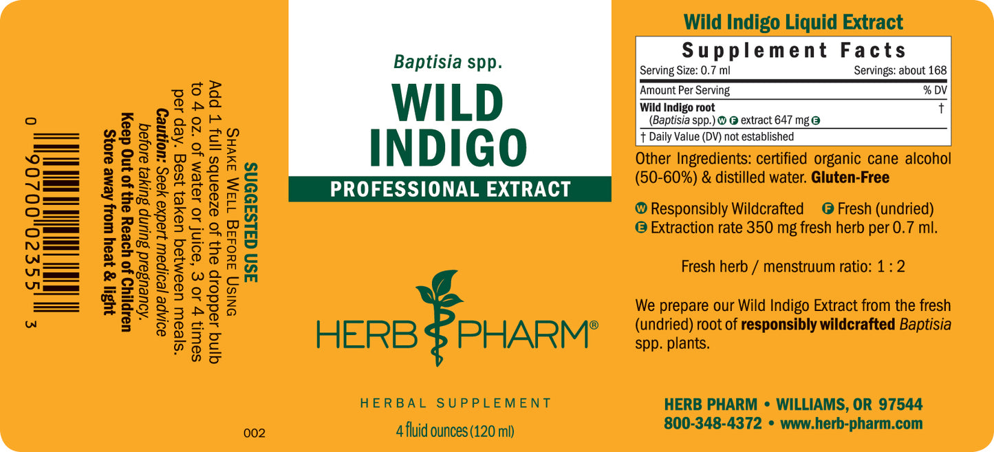 Wild Indigo