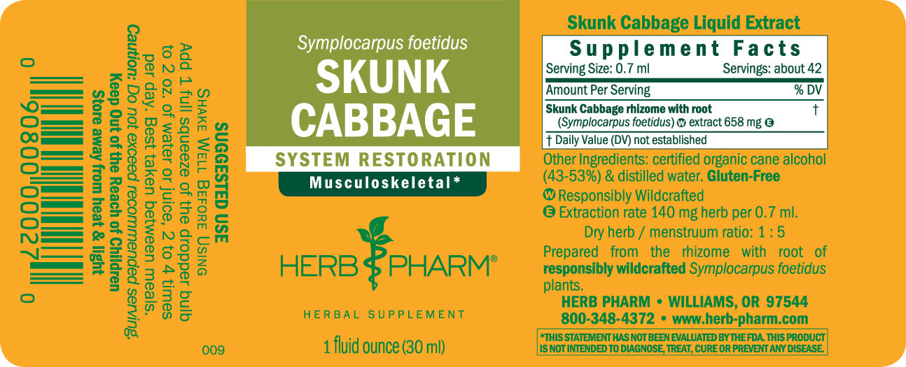 Skunk Cabbage