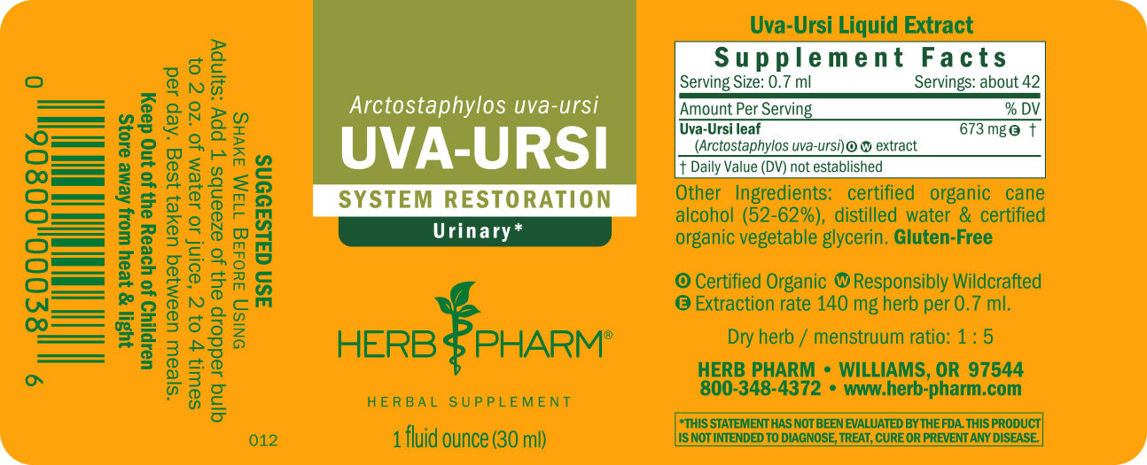 Uva-Ursi