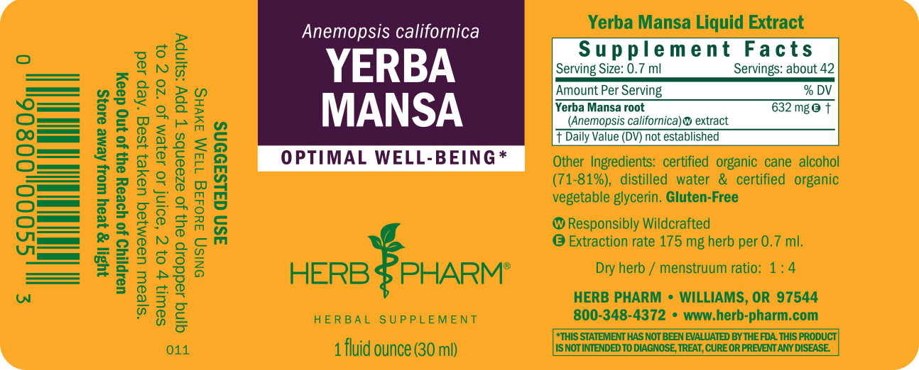 Yerba Mansa