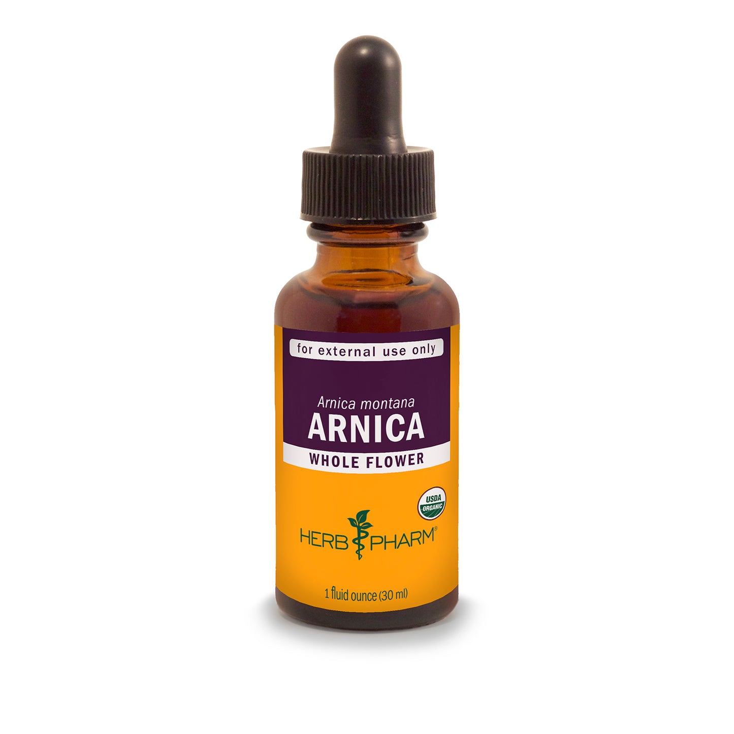 Arnica