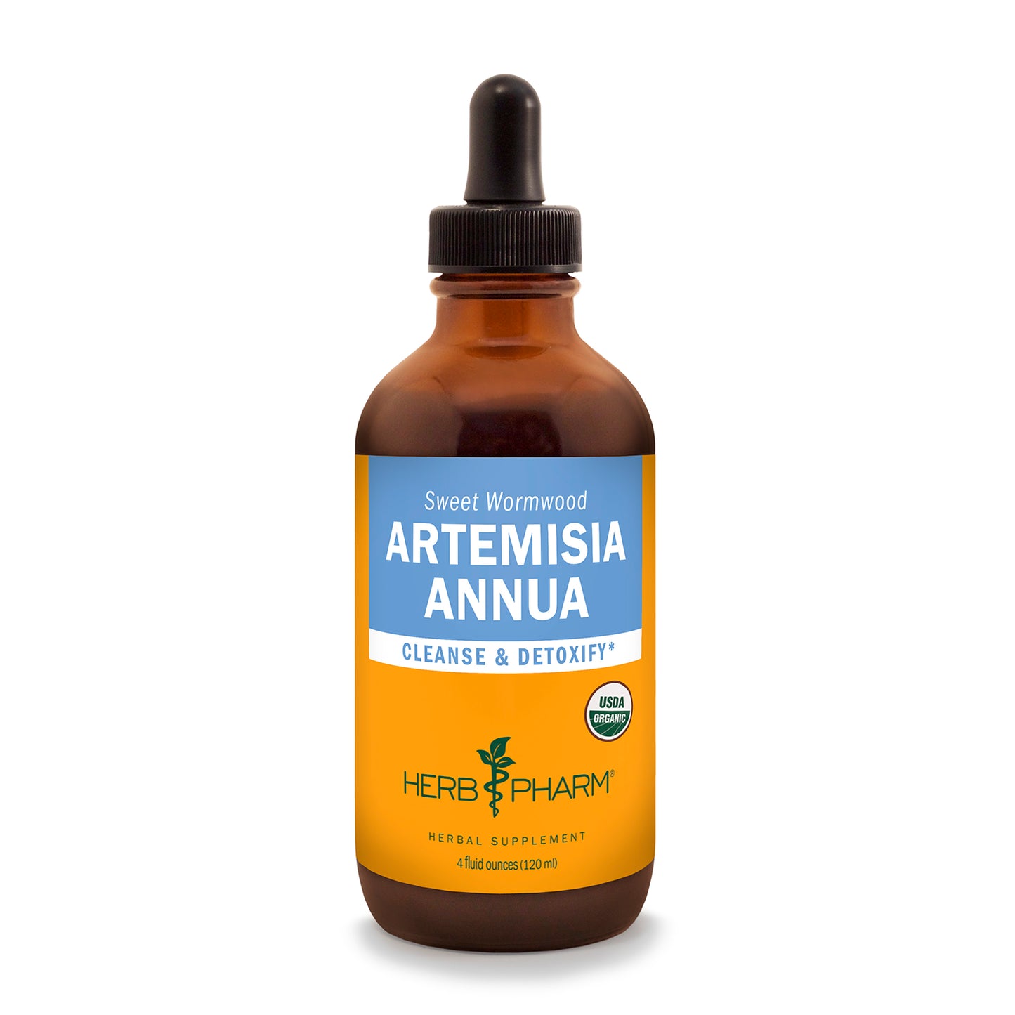 Artemisia Annua